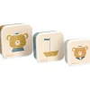 Tutete 3 Cajas Almuerzo Simon Bear Best
