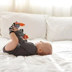 Attipas Stimulation Socks LADYBUG Best