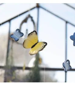 Oliu0026Carol Blues the Butterfly Outlet