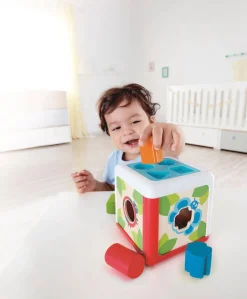 Hape Caja de Formas · Online