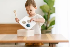 Plantoys Caja Golpea y Cae Outlet