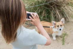 The Zoofamily Cámara Fotográfica Urban Zoo Unicorn ·