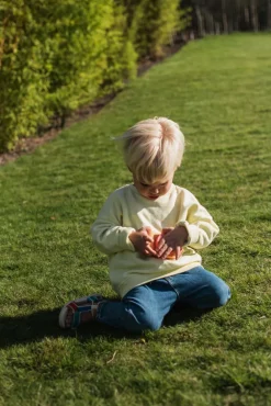 The Zoofamily Cámara Fotográfica Urban Zoo Fox · Online