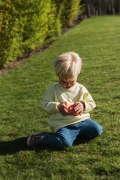 The Zoofamily Cámara Fotográfica Urban Zoo Fox · Online