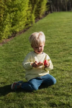 The Zoofamily Cámara Fotográfica Urban Zoo Fox · Online