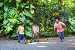 Plantoys Cocodrilo Arco Iris Clearance