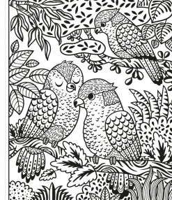 Usborne Colorea por arte de magia · Un Zoo Clearance