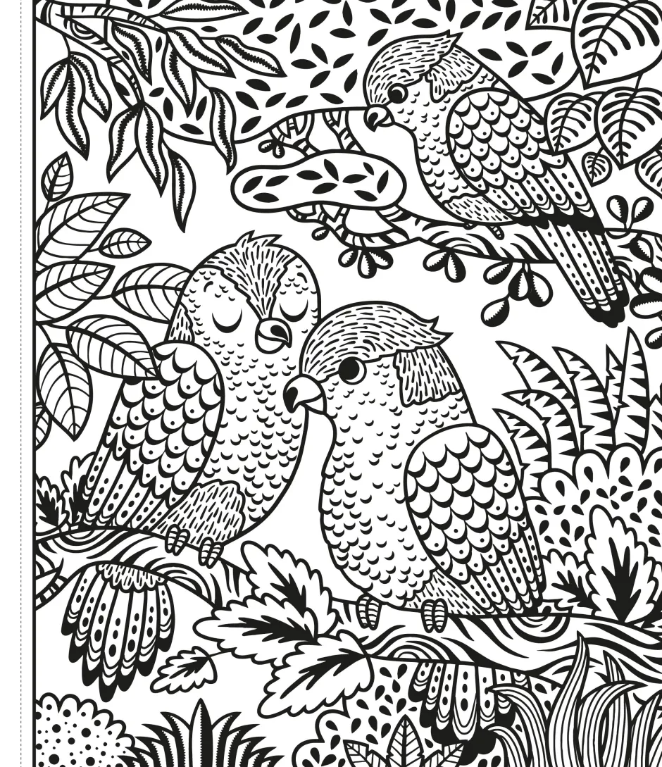 Usborne Colorea por arte de magia · Un Zoo Clearance