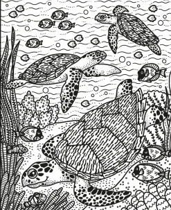 Usborne Colorea por arte de magia · Animales Salvajes