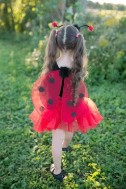 Great Pretenders Disfraz Mariquita Glitter · 4-6 años New