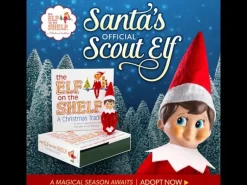 Elf On The Shelf (Cuento y Elfo) · Chico New