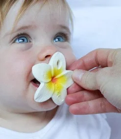 Oliu0026Carol Hawaii The Flower Hot