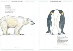 Faktoria K de Libros Inventario Ilustrado de Animales Best