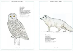 Faktoria K de Libros Inventario Ilustrado de Animales Best