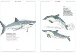 Faktoria K de Libros Inventario Ilustrado de Animales Best