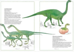 Faktoria K de Libros Inventario Ilustrado de Dinosaurios New