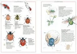 Faktoria K de Libros Inventario Ilustrado de Insectos Clearance