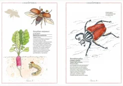 Faktoria K de Libros Inventario Ilustrado de Insectos Clearance