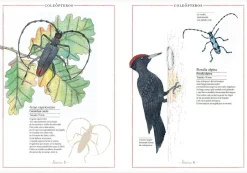 Faktoria K de Libros Inventario Ilustrado de Insectos Clearance