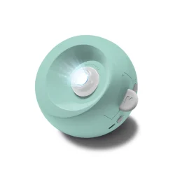 Kidywolf Kidystar · Outlet