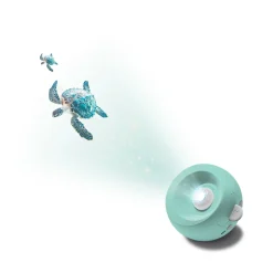 Kidywolf Kidystar · Outlet