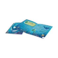 Kidywolf Kidystar · Outlet