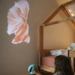 Kidywolf Kidystar · Outlet