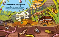 Usborne Libro de pegatinas Bichitos New