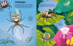 Usborne Libro de pegatinas Bichitos New