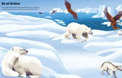 Usborne Libro de pegatinas Los animales mas peligrosos del mundo Online