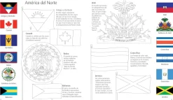 Usborne Libro Puzzle Banderas del Mundo Online