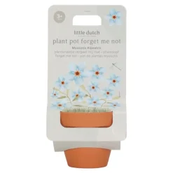 Little Dutch Maceta planta No me Olvides · Online