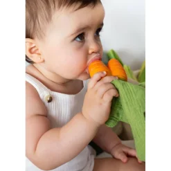 Oliu0026Carol Mini Doudou Mordedor · Cathy the Carrot Outlet