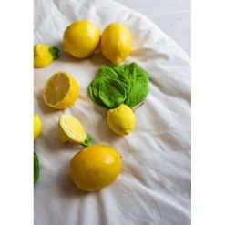 Oliu0026Carol Mini Doudou Mordedor · John Lemon Best