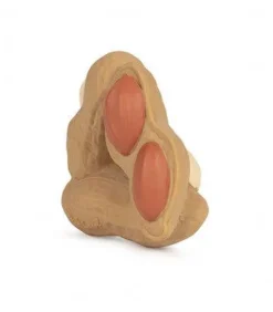 Oliu0026Carol Paco The Peanut Clearance