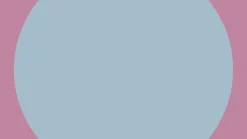 Yvolution Patines Twista Rainbow · Clearance