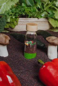 Petit Boum · Learn Bottle Veggies Best