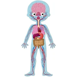 Janod Puzzle · Cuerpo Humano - Clearance