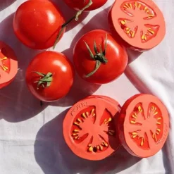 Oliu0026Carol Renato the Tomato New