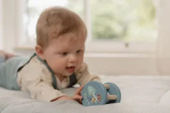 Little Dutch Roller Forest Friends Best