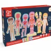 Hape Rompecabezas magnético del cuerpo humano ·