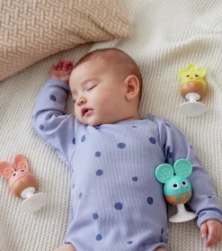 Hape Sonajero mordedor ventosa ·