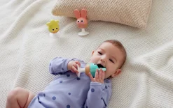 Hape Sonajero mordedor ventosa ·