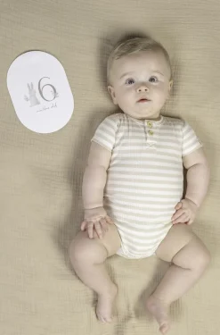 Little Dutch Tarjetas Milestone Baby Bunny · Sale