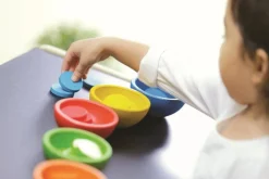 Plantoys Tazas Ordena y Cuenta New