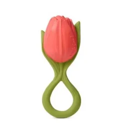 Oliu0026Carol Theo the Tulip Hot