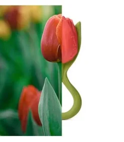 Oliu0026Carol Theo the Tulip Hot