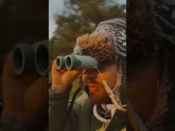 The Zoofamily Zoo Eyes Dino · Zoofamily Clearance